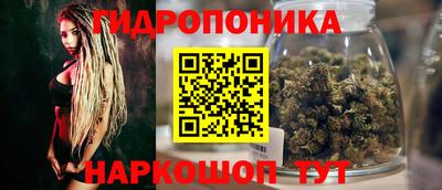стаф Кандалакша