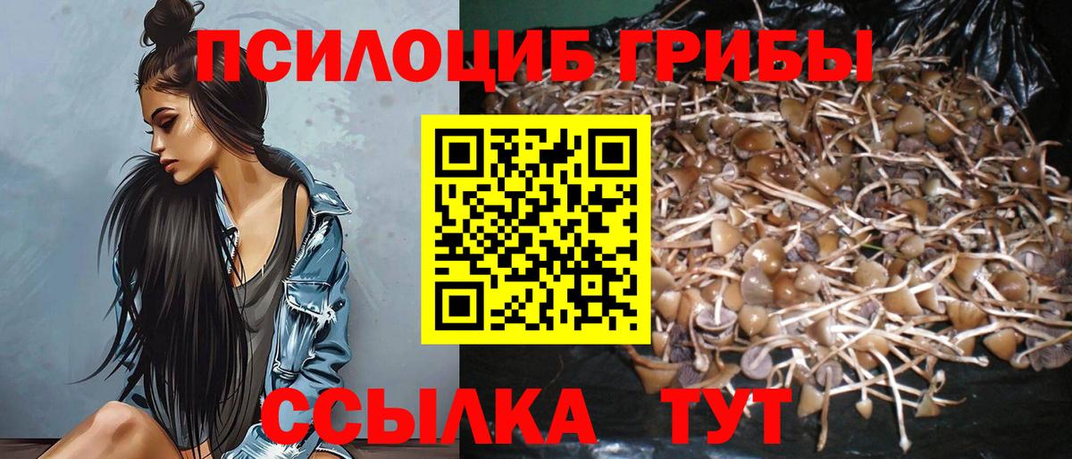 Псилоцибиновые грибы Cubensis  Галлюциногенные грибы GOLDEN TEACHER  Красный Сулин  Вход с VPN 
