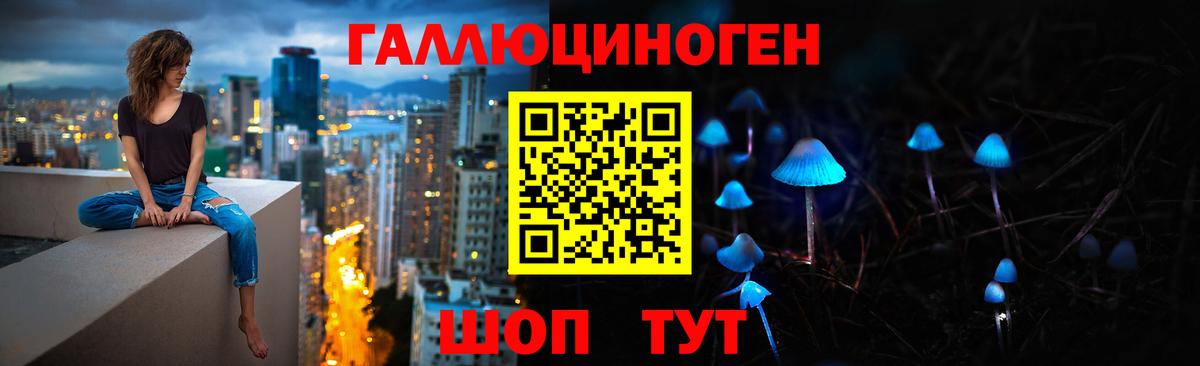 Галлюциногенные грибы GOLDEN TEACHER Красный Сулин