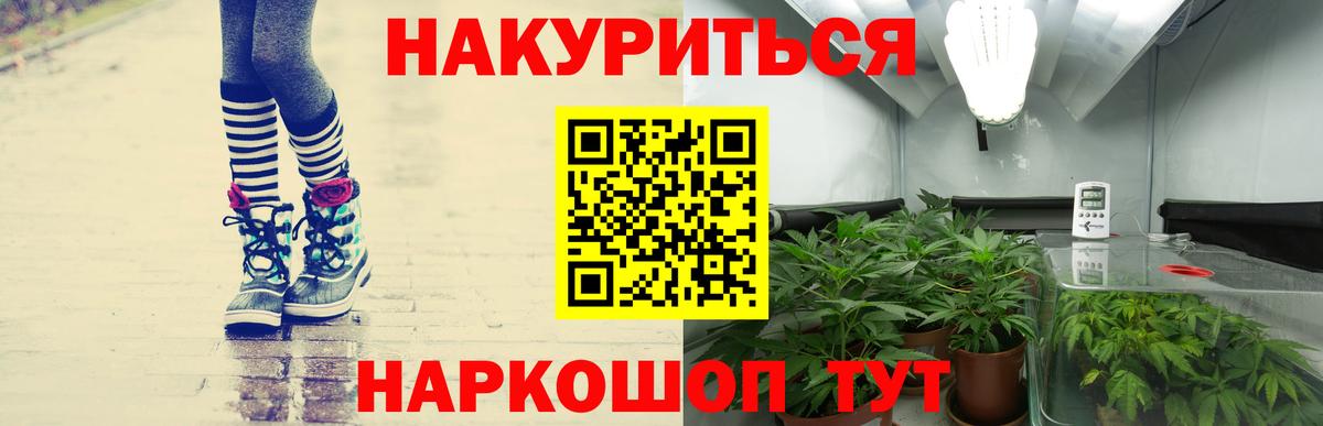 Шишки марихуана план  Бошки марихуана THC 21%  Вход с VPN  Красный Сулин  Каннабис марихуана 
